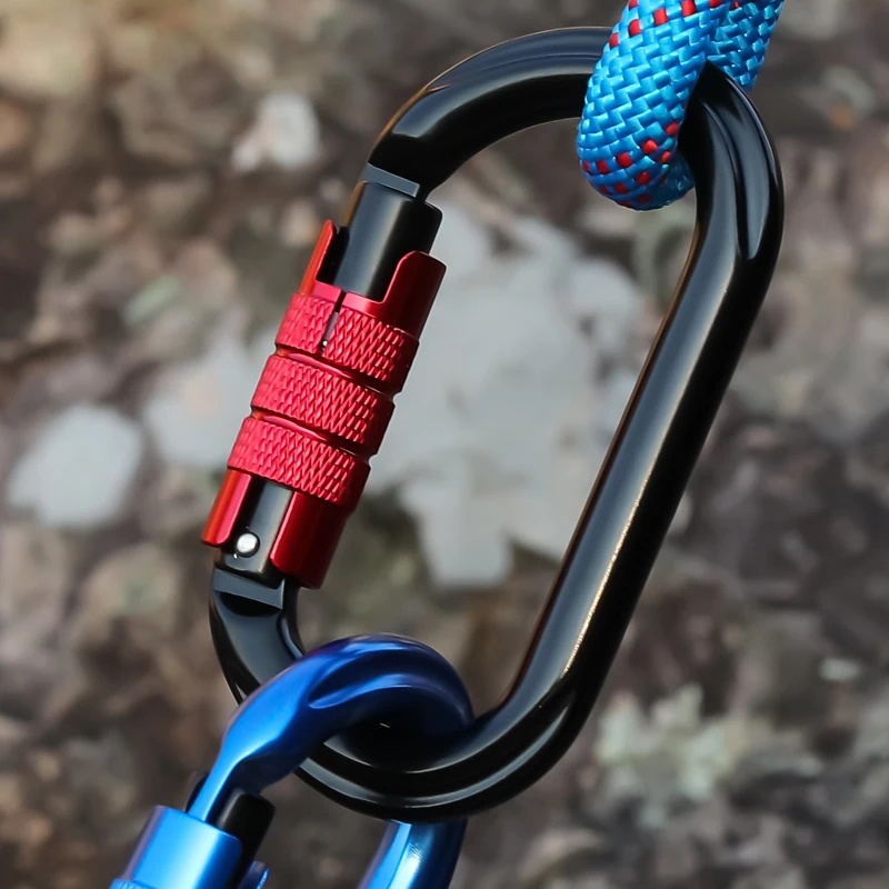 Moschettone con Blocco a Vite  - Carabiner Locking D recensione e prezzo