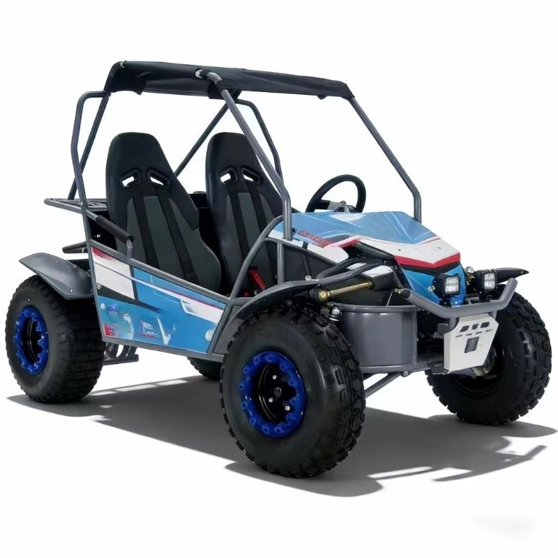 Offerta Speciale: Go-Kart a 4  - Outdoor Adventure Utv recensione e prezzo